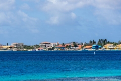DSC00845_b