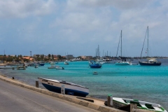 DSC08493_b