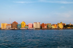 DSC08495_b