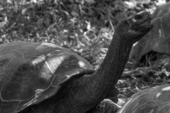 DSC00657_b