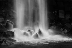 DSC01569_b