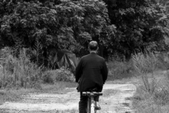 DSC02778_b