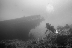 DSC09070_b