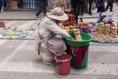 DSC07384_b