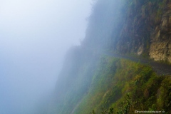 DSC07432_b