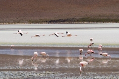 DSC09886_b
