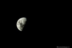 DSC09596_b