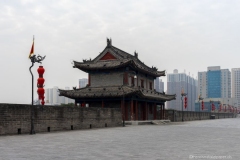 DSC03349_b