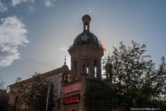 DSC00978_b