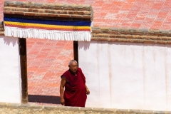 DSC03411_b