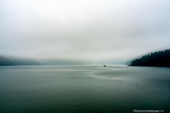 DSC03634_b