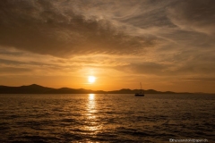 DSC01230_b
