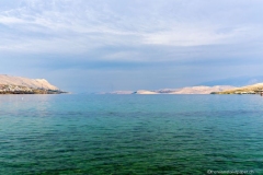 DSC04004_b