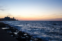 DSC08764_b