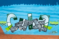 DSC09053_b