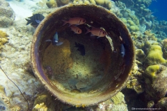Bonaire_17