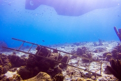 Bonaire_20