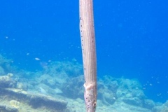 Curacao_1