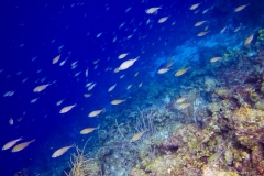 Curacao_3