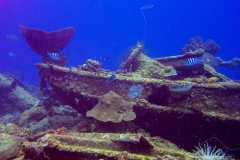 Curacao_5