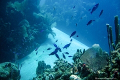 2012_Honduras_23