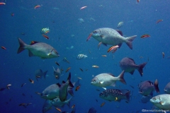 2012_Honduras_37