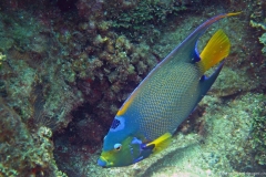 2012_Honduras_40