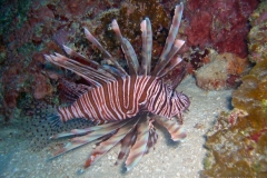 2012_Honduras_44