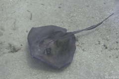 2012_Honduras_49