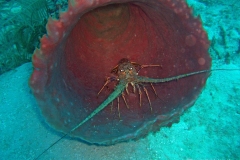 2012_Honduras_54