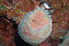 2012_Honduras_57