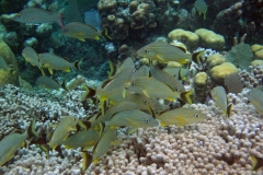 2012_Honduras_58