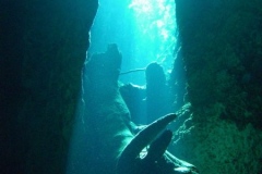 2012_Mexico_diving_2