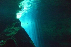 2012_Mexico_diving_5