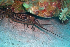 2012_Nicaragua_4