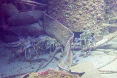 StMaarten_2