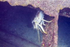 StMaarten_4