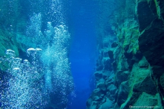 Iceland_Silfra5