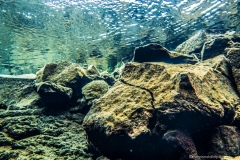 Iceland_Silfra7