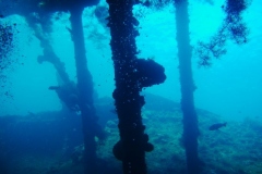 2013_Indonesia_Bali_12