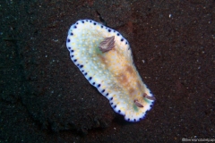 2013_Indonesia_Bali_16