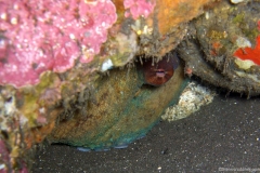 2013_Indonesia_Bali_17