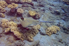 2015_Indonesia_Bali_10