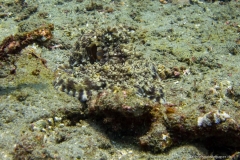 2015_Indonesia_Bali_13