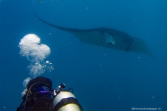 2015_Indonesia_Bali_18