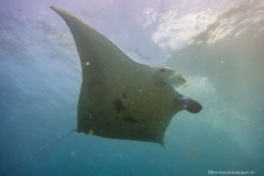 2015_Indonesia_Bali_19