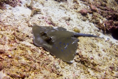 2015_Indonesia_Bali_2