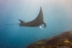 2015_Indonesia_Bali_20