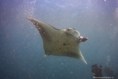 2015_Indonesia_Bali_21