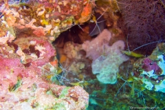 2015_Indonesia_Bali_25